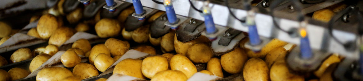 Kartoffel-Center München Nord Leistungen Headergrafik